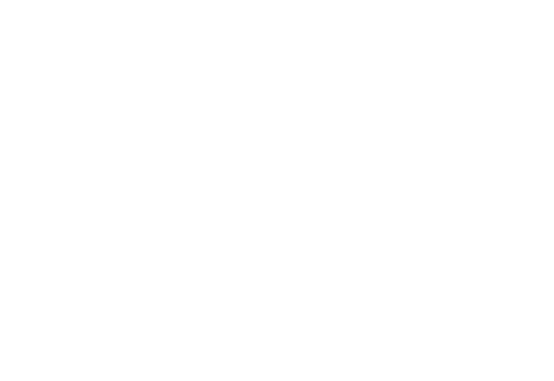 Mainstage AESTHETIC-aNESTHETIC graphic